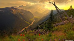 Landscapes Flowers nature Mountains clouds Poppies