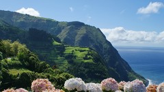 Landscapes Flowers nature Mountains coast