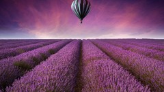 Landscapes Flowers nature purple air Balloons background fields 
