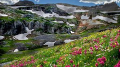 Landscapes Flowers nature snow Mountains clouds light shadows