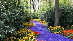 Landscapes Flowers nature Trees