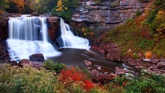 Landscapes Flowers nature Trees autumn waterfalls forests
