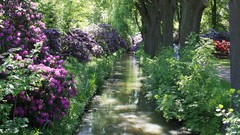 Landscapes Flowers nature Trees Birds rivers