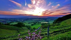 Landscapes Flowers nature Trees grass blue clouds red hills 