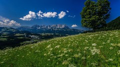 Landscapes Flowers nature Trees Mountains