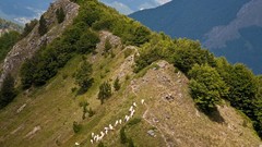 Landscapes Flowers nature Trees Mountains Alps travel HDR 