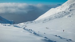 Landscapes Flowers nature Trees Mountains Alps travel HDR 