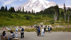Landscapes Flowers nature Trees Mountains cars Alps travel HDR 