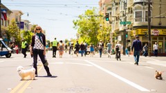 Landscapes Flowers nature Trees Mountains cars Alps travel HDR 