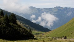 Landscapes Flowers nature Trees Mountains cars Alps travel HDR 
