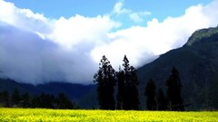 Landscapes Flowers nature Trees Mountains clouds hills skies 