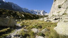 Landscapes Flowers nature Trees Mountains trail cars Alps 