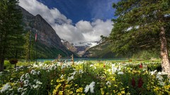 Landscapes Flowers nature Trees snow Mountains Garden lakes 