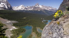 Landscapes Flowers nature Trees water Mountains cliffs rocks 
