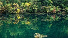 Landscapes Flowers nature Trees yellow water red Green China 