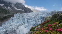 Landscapes Flowers nature yellow snow Mountains ice glacier 