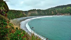 Landscapes Flowers sand nature Trees blue ocean hills Green 
