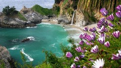Landscapes Flowers Sea nature coast rocks falls Beaches
