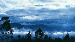 Landscapes fog clouds dawn forests skyscapes