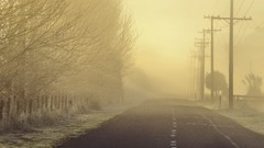 Landscapes fog dawn roads