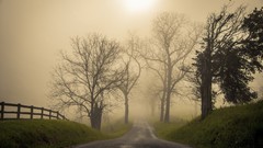 Landscapes fog dawn roads