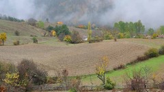 Landscapes fog farm Turkey Kastamonu