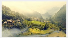 Landscapes fog ladder fields mount forests Viet Nam