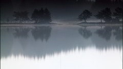Landscapes fog lakes forests