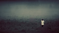 Landscapes fog mist fields