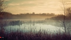 Landscapes fog mist ponds