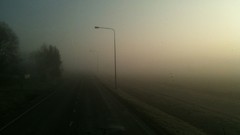 Landscapes fog morning roads Lamps mist