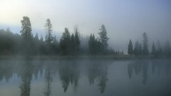 Landscapes fog morning Wyoming yellowstone
