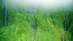 Landscapes fog Mountains moss Hawaii mist