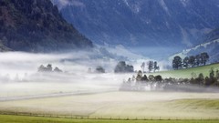 Landscapes fog nature