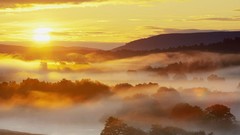 Landscapes fog nature