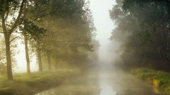 Landscapes fog nature