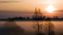 Landscapes fog nature