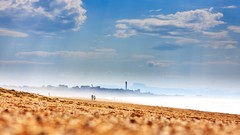 Landscapes fog nature