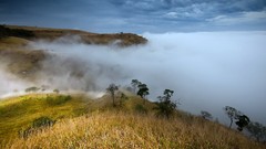 Landscapes fog nature