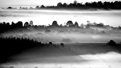 Landscapes fog nature Australia silhouettes national geographic 