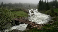 Landscapes fog nature Bridges rivers forests evergreens