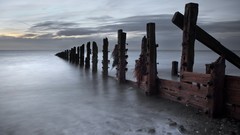 Landscapes fog nature cold coast