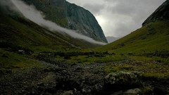 Landscapes fog nature grass Mountains clouds Norway