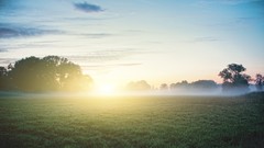 Landscapes fog nature grass sun mist fields