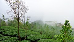 Landscapes fog nature Green houses farms