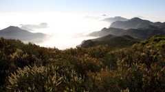 Landscapes fog nature hills mist fields
