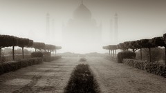 Landscapes fog nature India Taj Mahal monochrome national 
