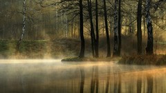Landscapes fog nature light lagoon reflections silent forests 