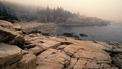Landscapes fog nature Maine national park acadia