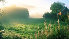 Landscapes fog nature morning